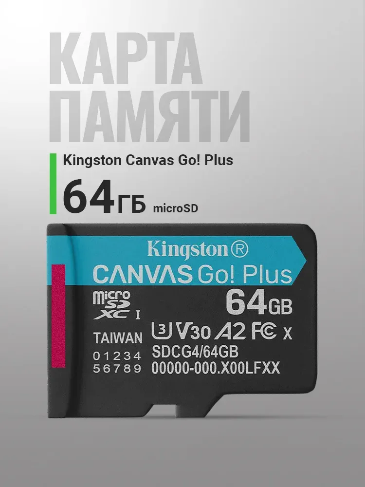 Micro Secure Digital Card (Trans Flash) 256GB HC10 KINGSTON Canvas Go Plus G4 200R V30